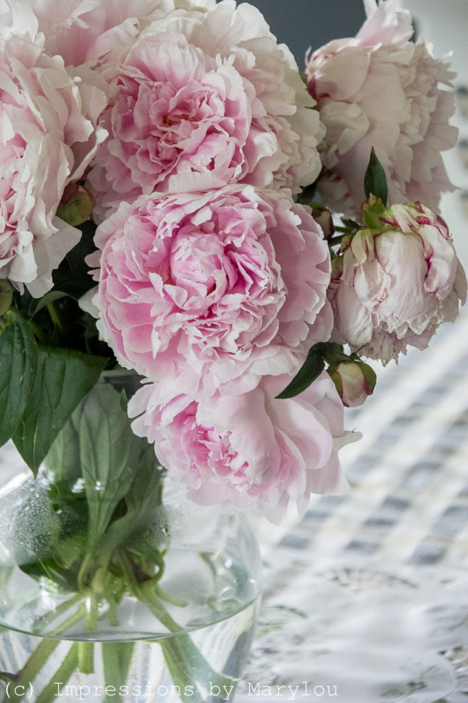 Peonies-14