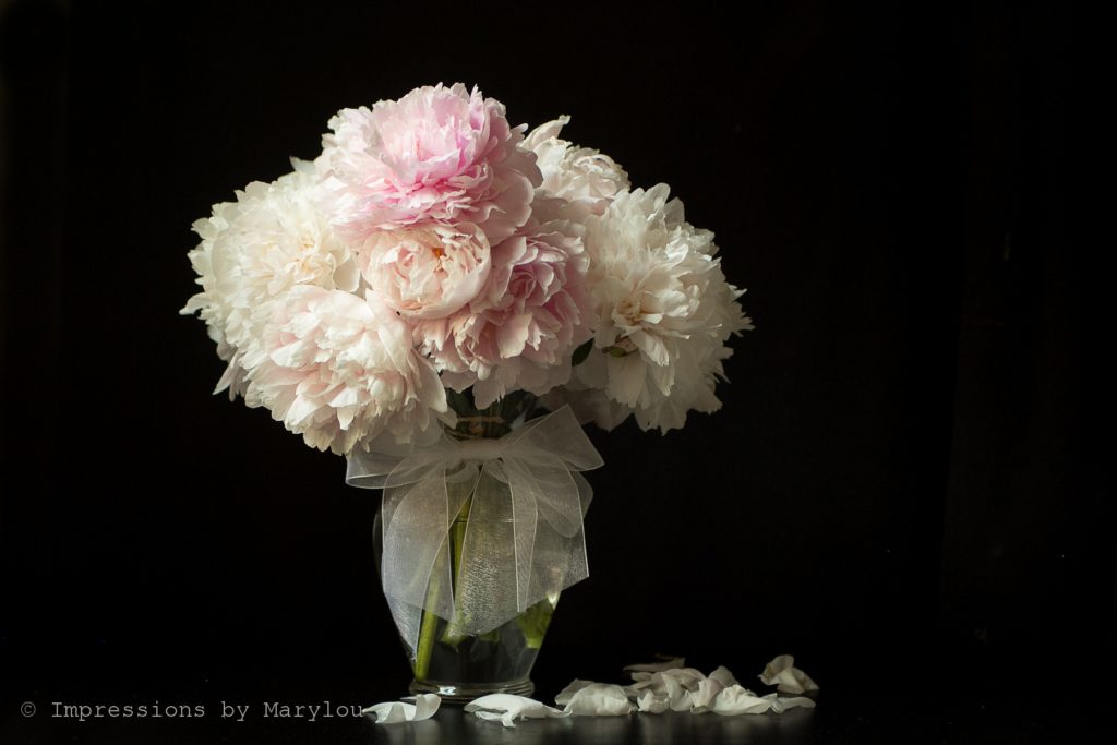 Peonies-4 b