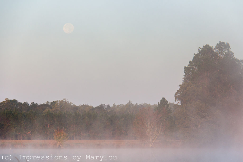 moonset-nov-2016