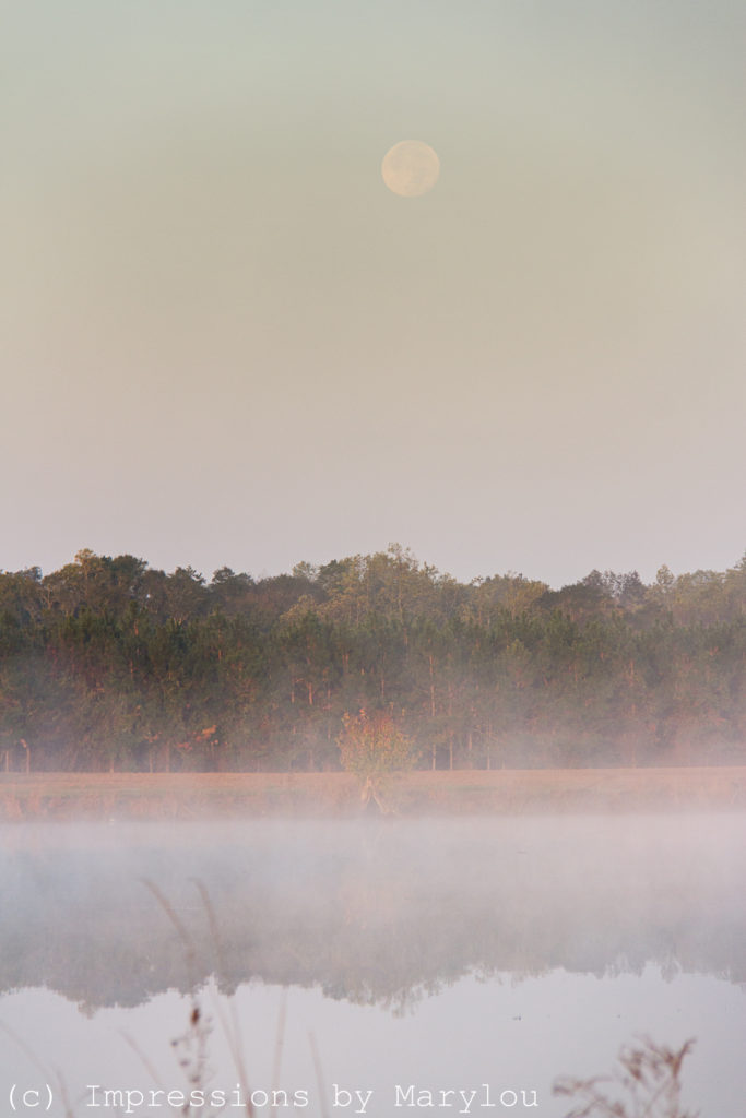 moonset-nov-2016-2